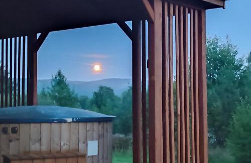 Blu Raj - domy w Sudetach - Foto 28