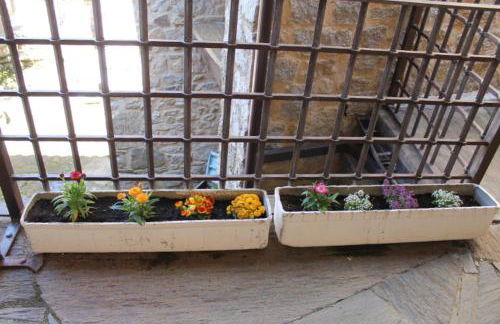 Las cabachuelas casas rurales - Foto 29