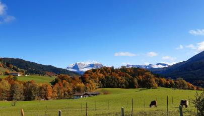 Vorderponholz Ferienwohnungen - Foto 5