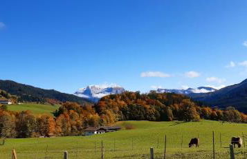 Vorderponholz Ferienwohnungen - Foto 5