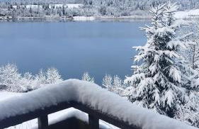 Refuge du Renard au Bord du Lac - Foto 21