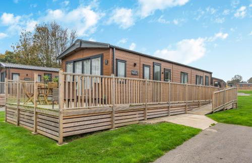 Alfie - Uk48109 - Foto 16