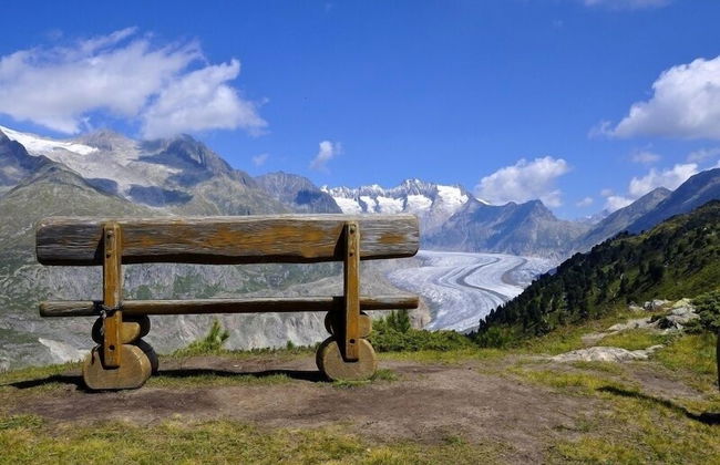 Nachtigall OG - Foto 23