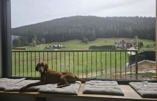 Szlak By Trafił - Photo 24