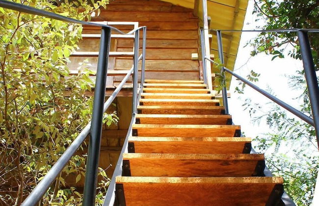 Thick forest sigiriya - Photo 21