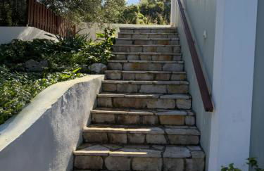 Regina Villa - Photo 38