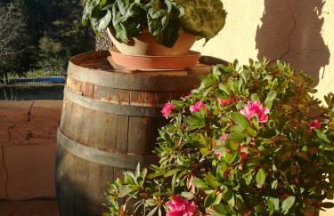 Apartamento en pleno Montseny Mas Romeu Turisme Rural - Foto 71