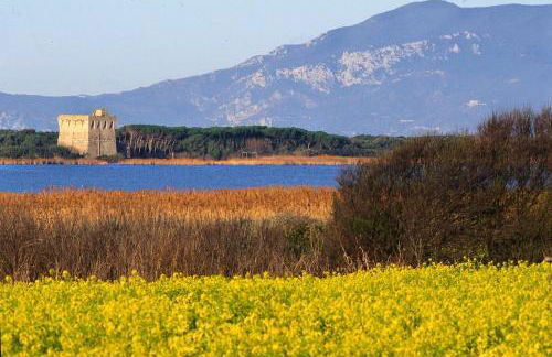 Casa Burano-Relax in Terrazza tra mare e natura - Foto 45