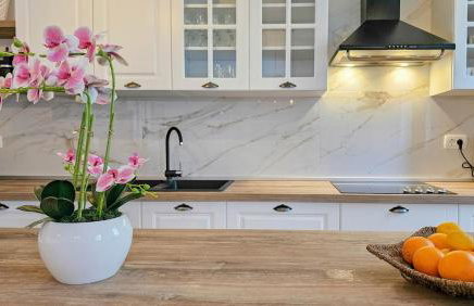 Casa Gojtan - Photo 11