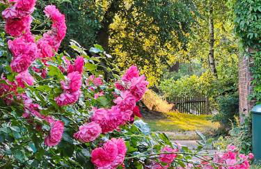 Ferienhaus Pathe - Foto 11
