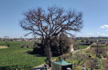 Country Rooms & Suite La Quercia - Foto 50