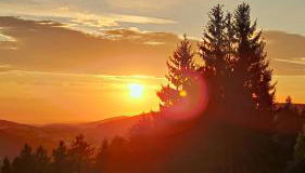 Ferienhaus Am Kirchberg - Foto 5