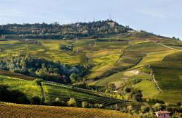 Casa Nalin - Photo 12