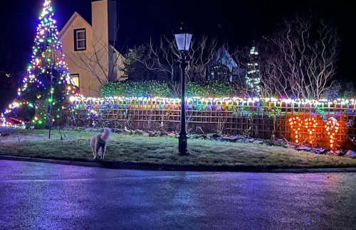 Annie Dee’s Guest Accommodation - Foto 18