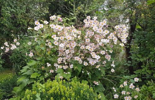 Ferienwohnung 1880 - Foto 25