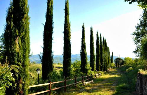 Agriturismo il Pino - Bioagricoltura - Photo 54