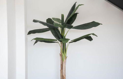 Ermal Terrace - Foto 18