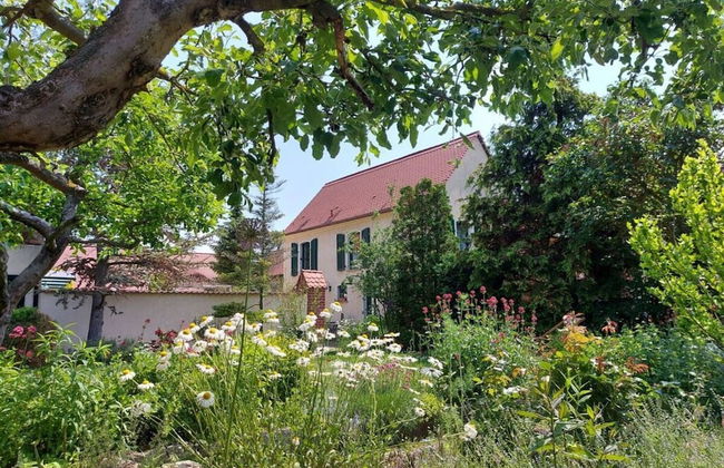 Zonnehof in het Geiseltal - Foto 31