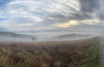 La Limonaia di Vanna - Foto 73