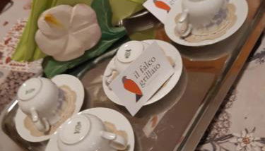 Il Falco Grillaio - Foto 5