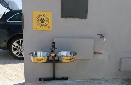 Casa D'Avó Bina Alojamento Local - Photo 36