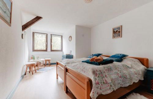 Olifant in Osterode - Foto 48