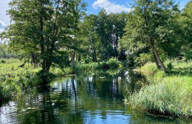 Gartenwohnung Appartements am Radweg stille Pauline - Photo 17