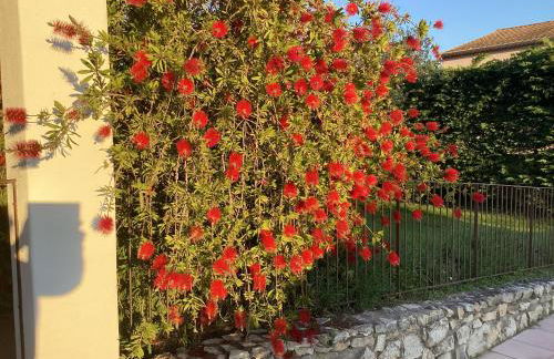 Les chambres d'hôtes d'Eloïse, piscine privée - Foto 18