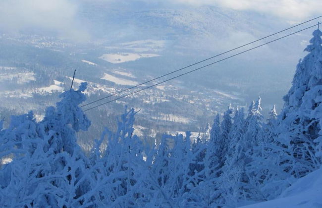 Chalet in Kollnburg Near St. Englmar Ski Area - Photo 34