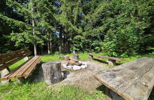 Nattersbergalm - Foto 71