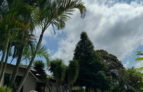 Casa de Campo Luz da Lua - Foto 52