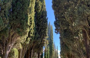 Tuscany Hills - Comfort 10 minutes from Montepulciano and Pienza - Photo 44