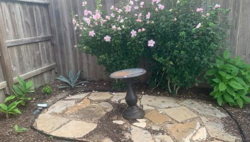 Military PCS Training RBAFB FSAB - Foto 3, Garden