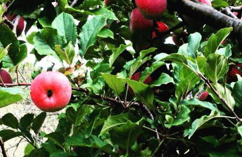 Agriturismo San Nicolò - Foto 27