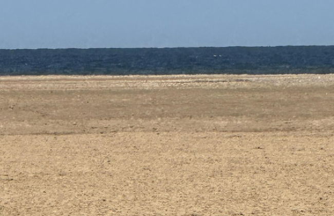 Luxury Glamping Pod With Hot Tub, Fees Apply - Foto 22