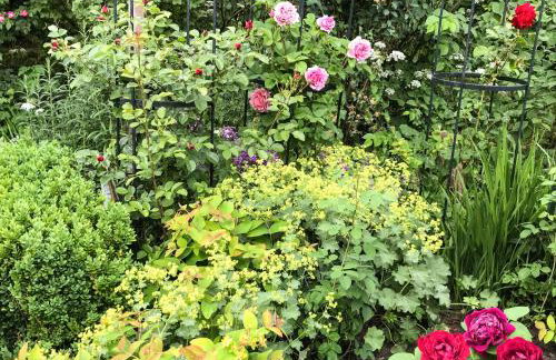 Gartenhaus Frieda - Foto 14