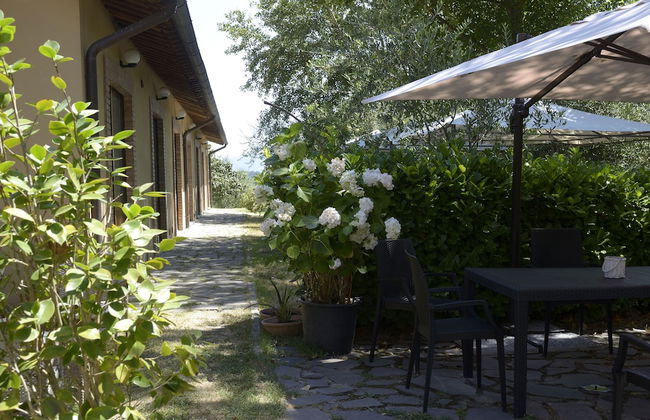 Bio Agriturismo Valle dei Calanchi - Foto 53