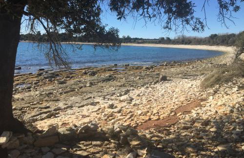 Apartment Enis - Photo 35