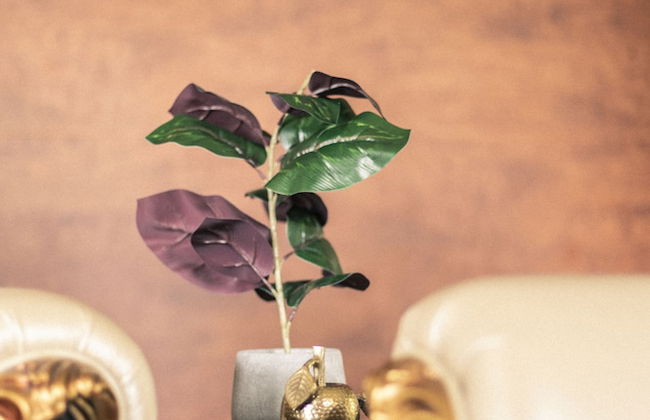 Shakespearean Inspired Holiday Resort - Foto 20