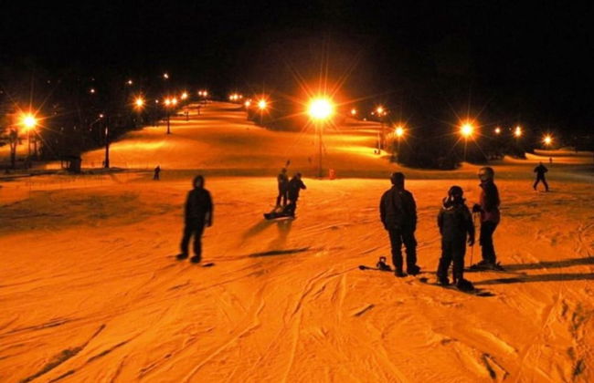 Denmark Stage Stop House - Photo 62