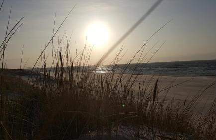 Słowińskie Widoki domki Flora, Fauna, noclegi Smołdziński Las - Foto 53