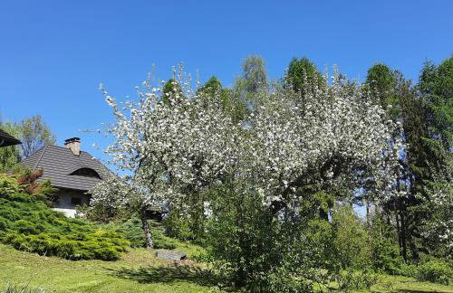 Zbójnicka Chata - Foto 7