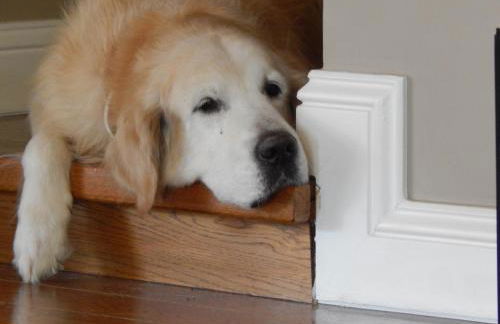 POLE POLE beautiful villa in Mati - Foto 13