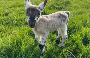 Turnpike House - Foto 17