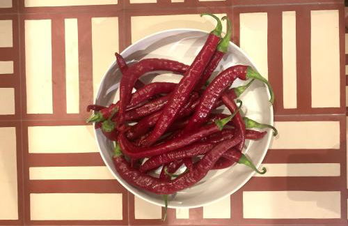 Lanzaroco, tu casa en La Vera - Foto 24