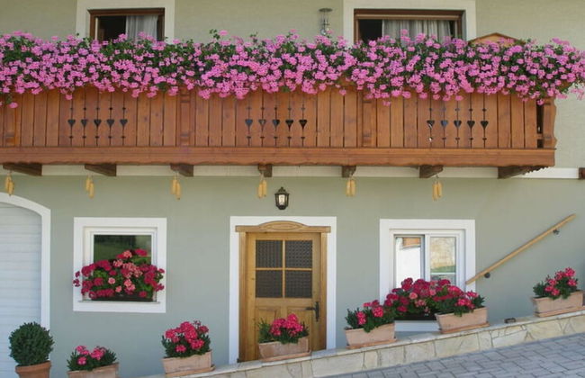 Apartment in Schwalbenhof Farm - Foto 25