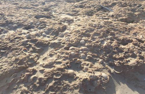 Seafront Dream Apartment - Foto 60