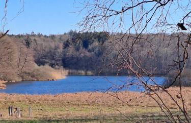 Alte Schule Steinen - Foto 20