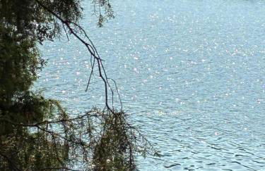 Casa Vilariça - Foto 15