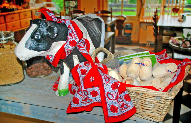 Wiringherlant - Foto 13